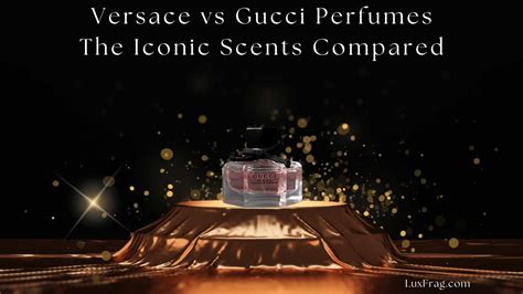 versucci vs versace|versace vs gucci perfume.